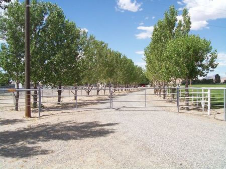 Amazing Horse Property With Water Rights! - 7085 McNinch Rd.